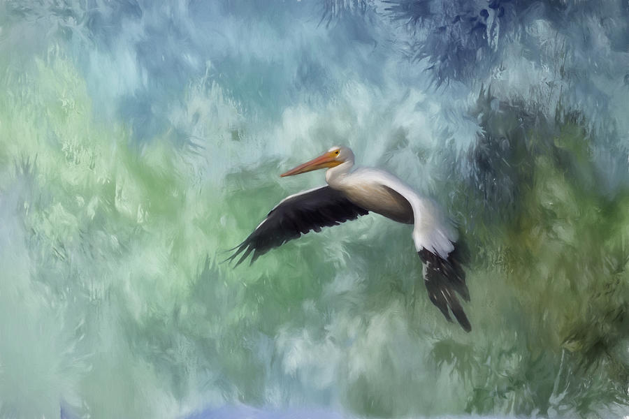Pelican Photograph - Flight of the White Pelican by Kim Hojnacki