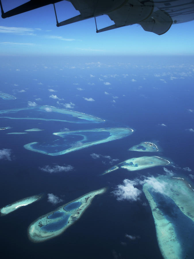 Flight Over Coral Reefs Photograph by Jenny Rainbow