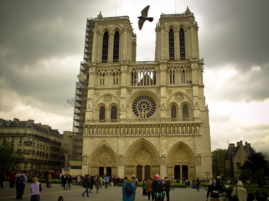 Flight Over Notre Dame Photograph by Mark Currier