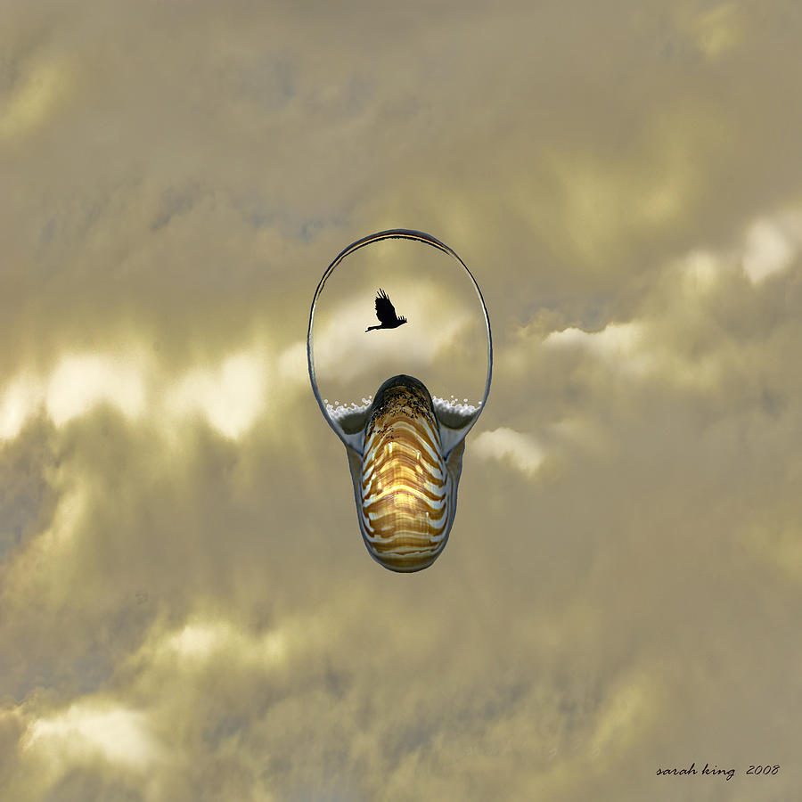 Sky Photograph - Flight  by Sarah King