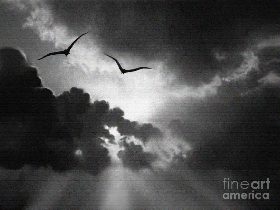 Bird Painting - Flight To Glory by Robert Foster