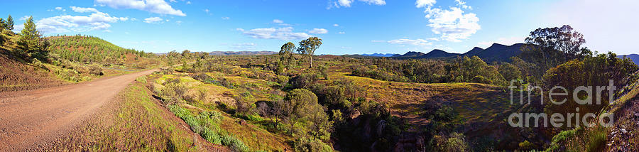 Flinders Ranges Photograph by Bill Robinson