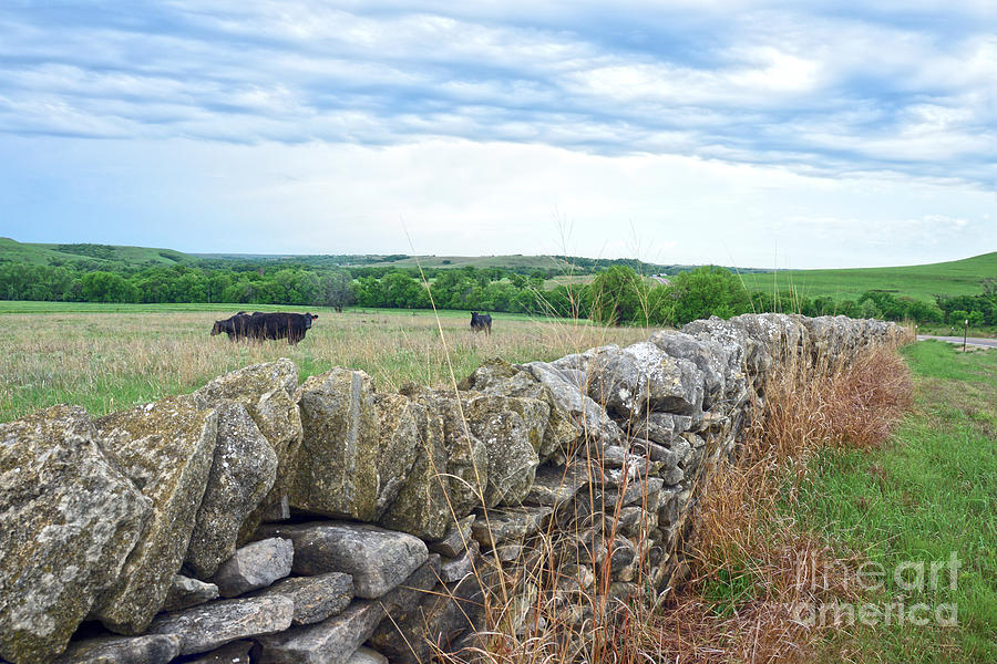 Flint Hills, Kansas, Stone Fence Photograph