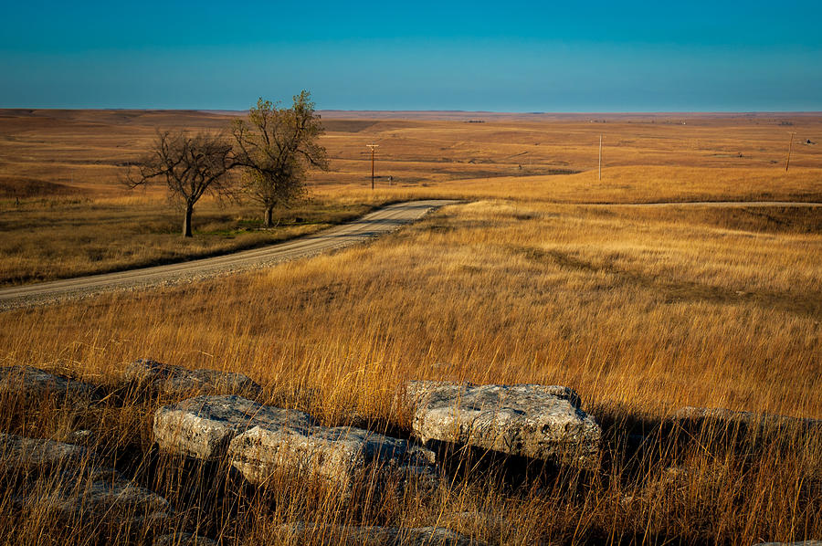 Flint Hills Two Trees Photograph by Jeff Phillippi