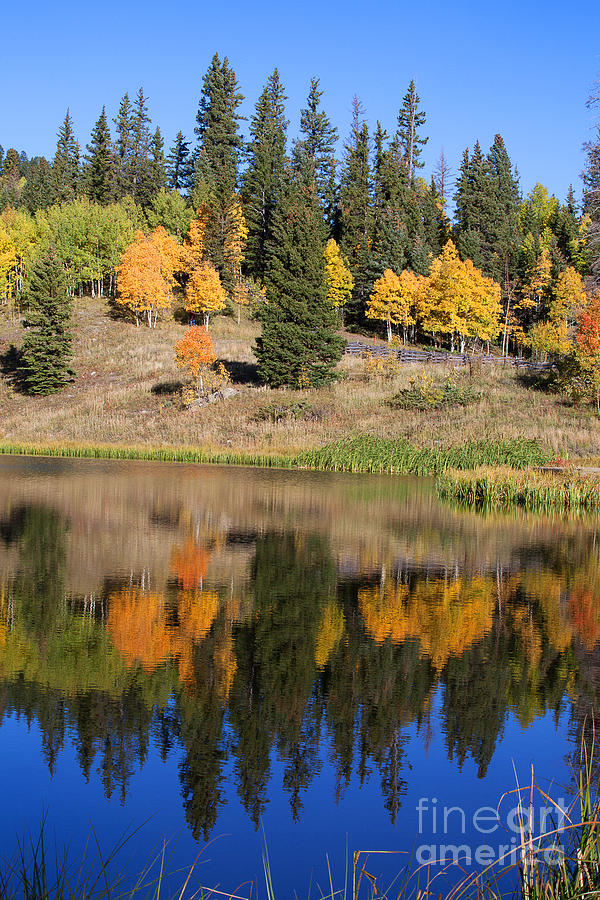 Autumn Colors Photograph - Flip Flop by Jim Garrison