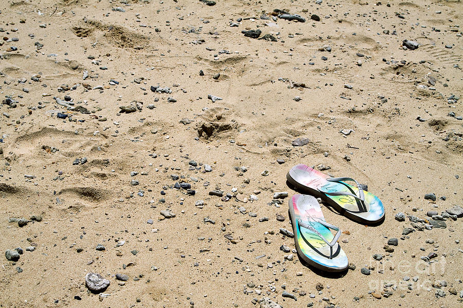 Flipflops Photograph by Louise Heusinkveld