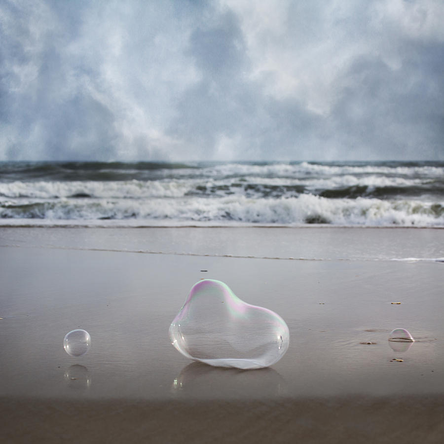 Bubble Photograph - Float Bounce And Roll by Betsy Knapp Bubble Photograph - Float Bounce And Roll by Betsy Knapp