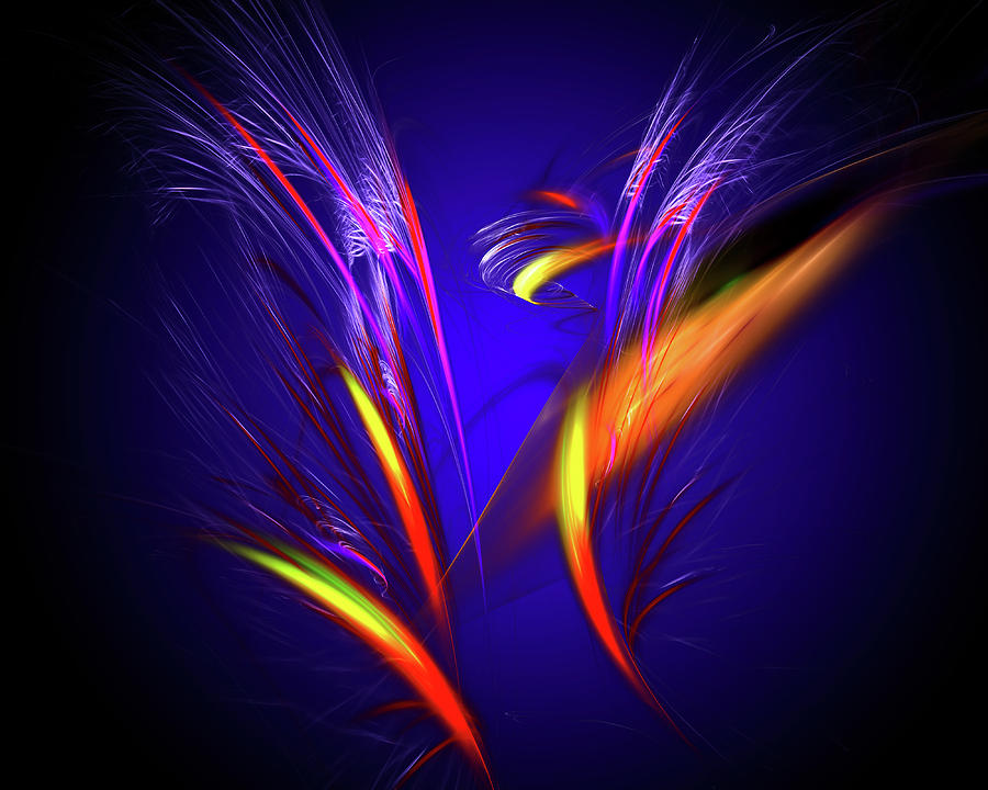 Float Colorful Feathers Digital Art by Marfffa Art | Fine Art America