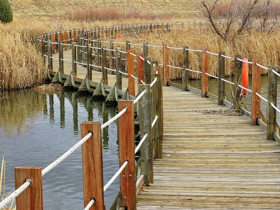 Floating Boardwalk Photograph by Connor Beekman