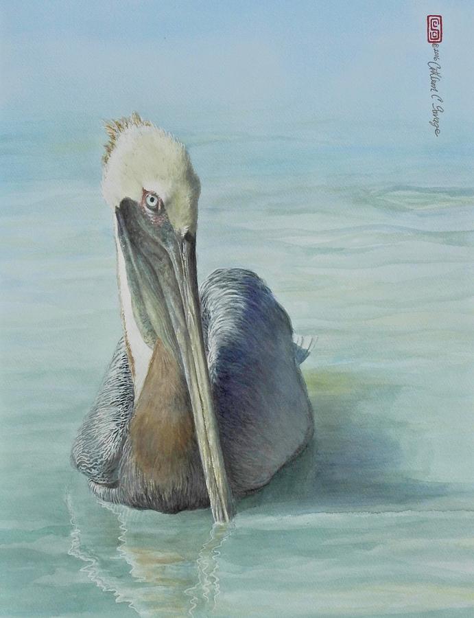 Floating Brown Pelican Painting By Cathleen Savage