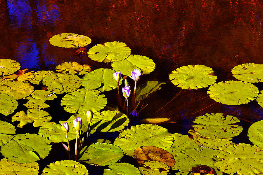 Floating Flowers #2 Digital Art by Susan Vineyard
