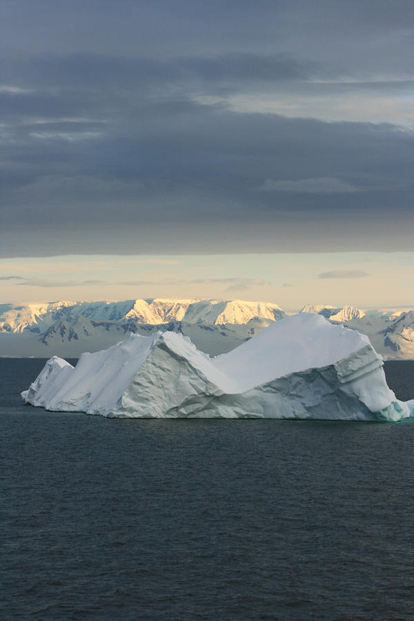 Floating Ice Photograph by Andrew Parker - Fine Art America