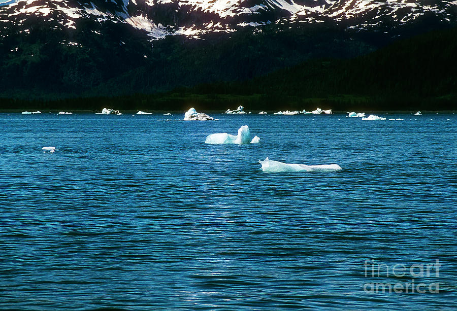 Floating Ice from Columbia Glacier Photograph by Bob Phillips
