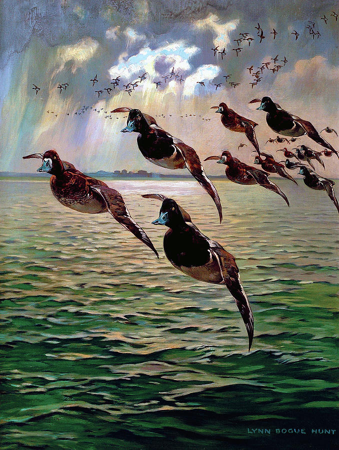 Floating In Painting by Lynn Bogue Hunt