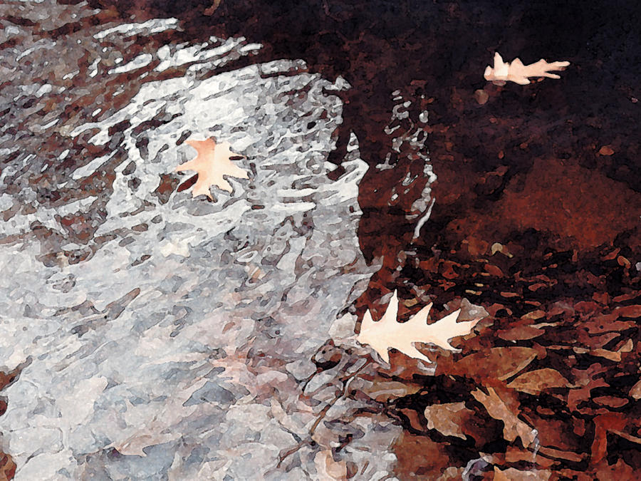 Floating Leaves Painting by Paul Sachtleben
