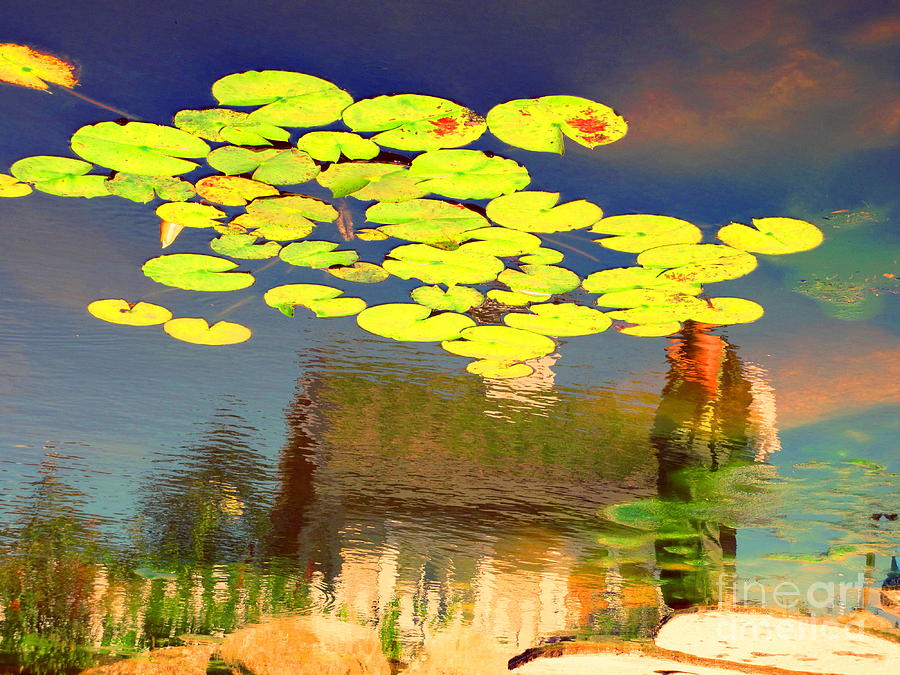 Floating Lily Pond Photograph by Sybil Staples