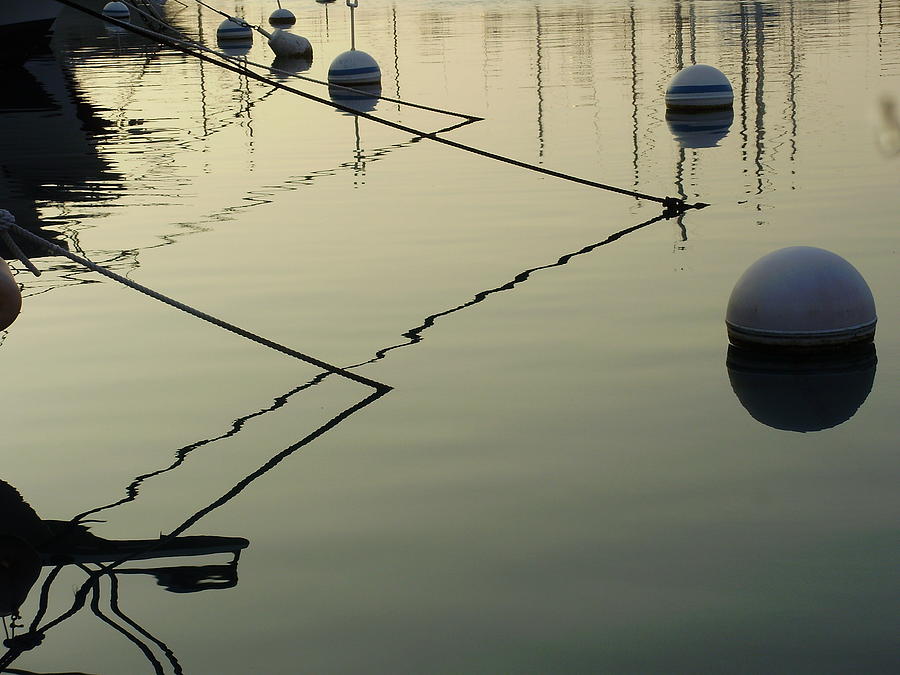 Landscape Photograph - Floating Lines by Keelee Martin
