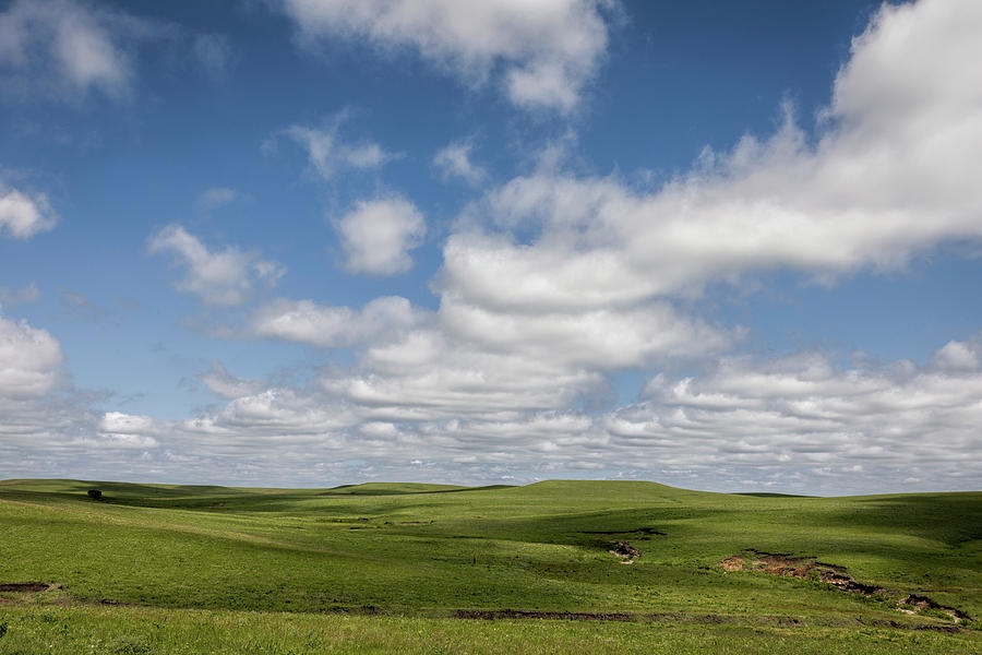 Floating Shadows Photograph by Scott Bean