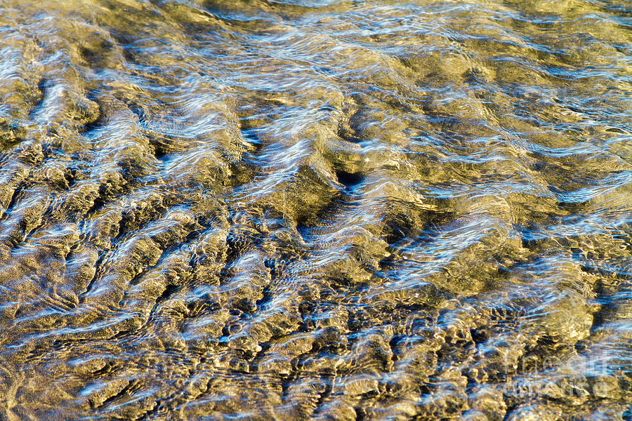 Tidal Water Structures Photograph by Heiko Koehrer-Wagner