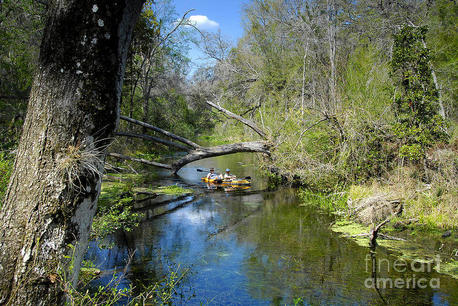 Ichetucknee River Florida Photograph - Floating the Iche by David Lee Thompson