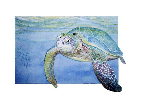 Floating Turtle Painting by Carmen Durden - Pixels