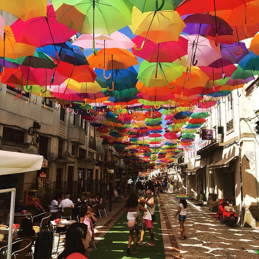 Floating Umbrellas 2016 Photograph