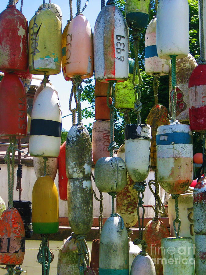 Floats and Buoys II Photograph by Arabella Marie | Fine Art America