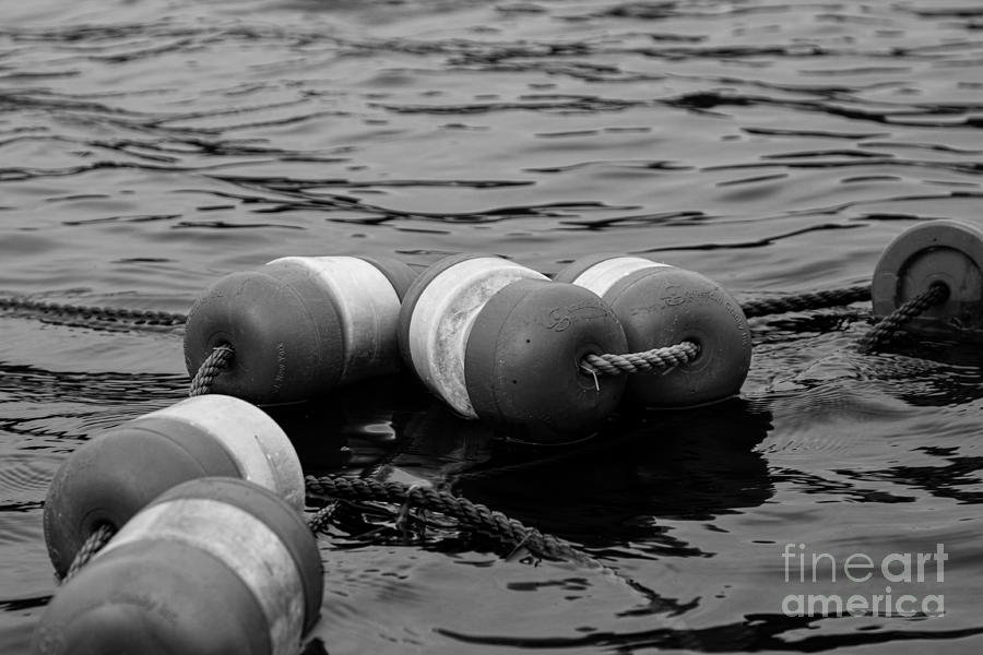 Rope Photograph - Floats On The Lake by K Hines