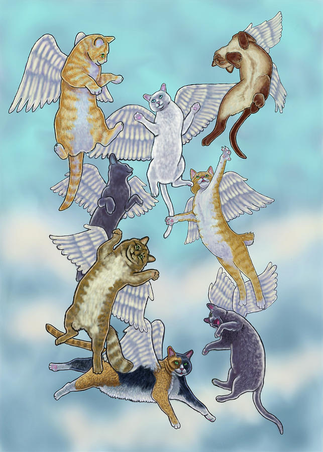 flock-of-angel-cats-rachel-armington.jpg