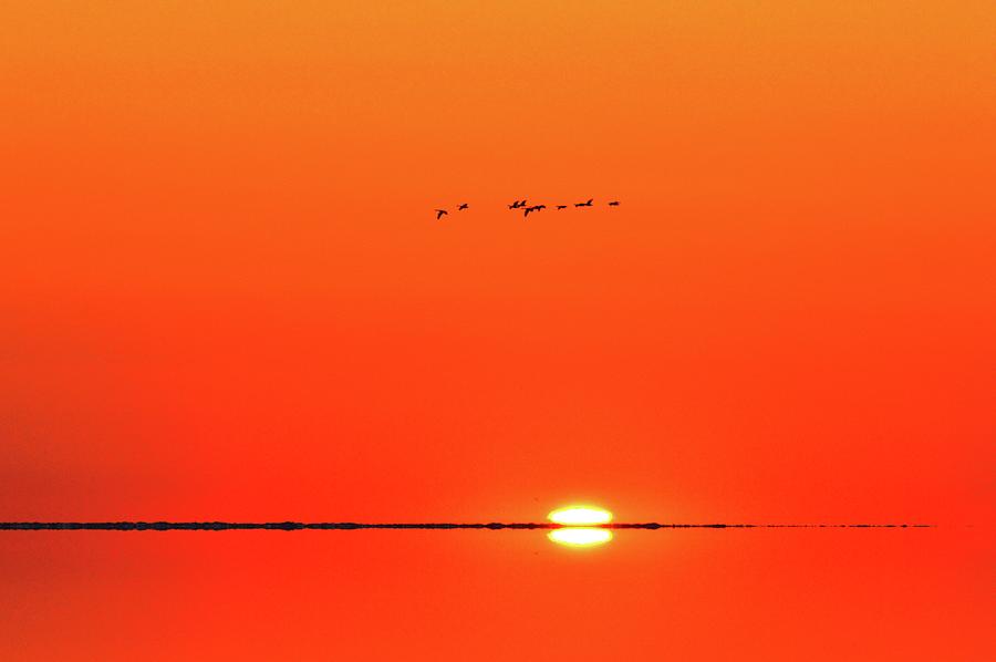 Flock Of Geese Flying Over The Sunrise Two  Digital Art by Lyle Crump