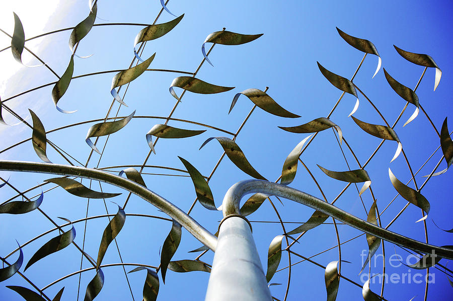 Flocks Wind Sculpture Detail Photograph by Erica Freeman