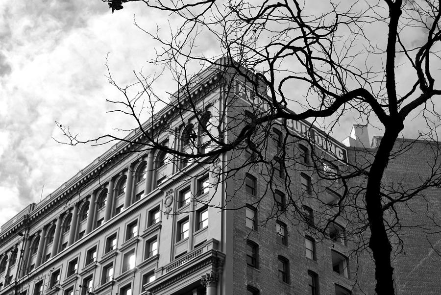 City Photograph - Flood Building - San Francisco - Side View - Black and White by Matt Quest