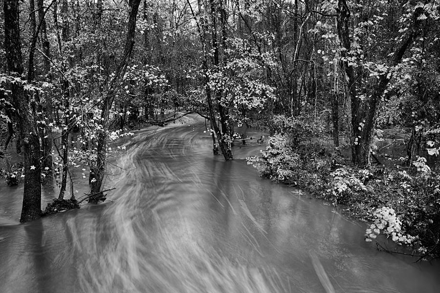 Flooded Creek on a Rainy Autumn Day BW Photograph by Dan Carmichael