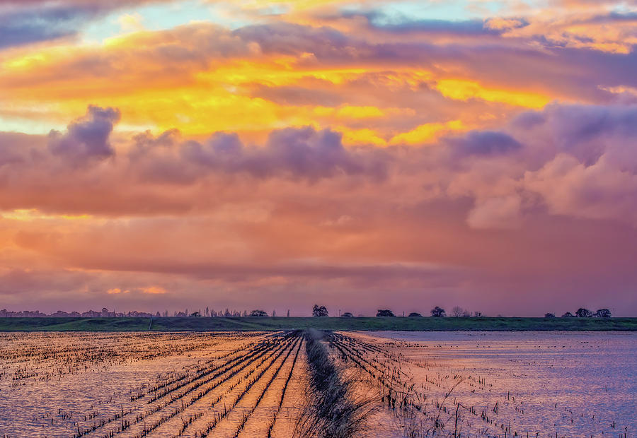 Flooded Field at Sunset Photograph by Marc Crumpler