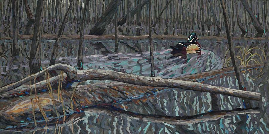 Flooded Land Wood Duck Drake Painting by Phil Chadwick
