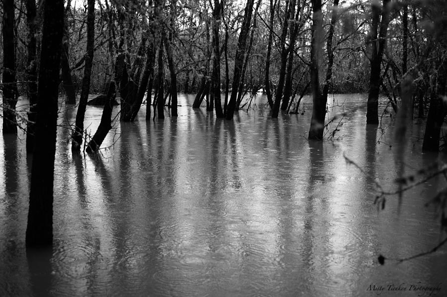 Flooding Photograph by Misty Tienken