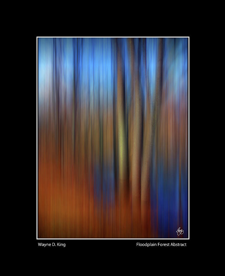 Floodplain Forest Abstract Poster Photograph by Wayne King