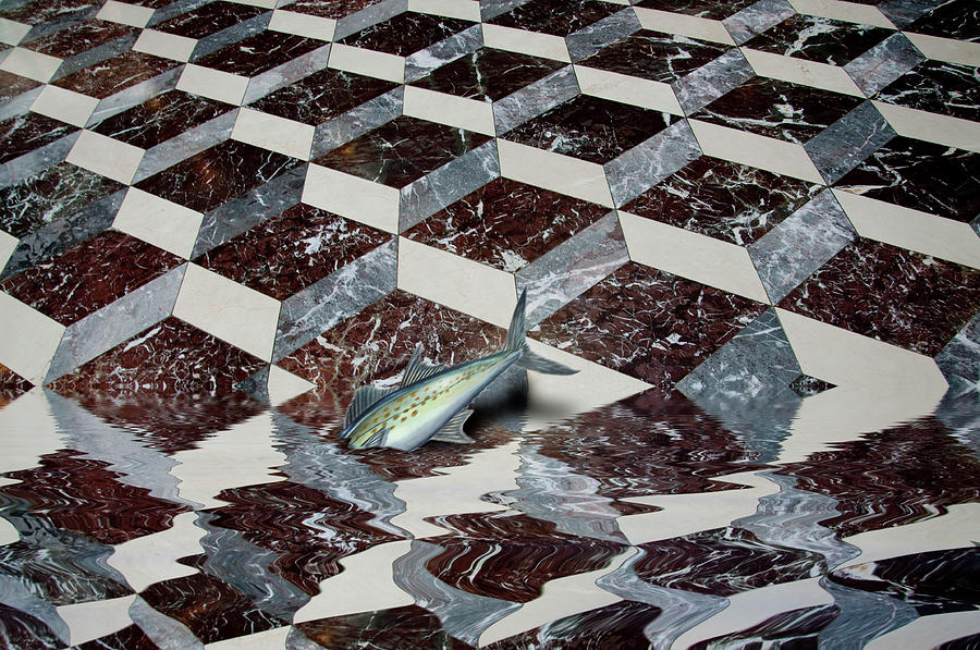Floor Patterns With A Fish Photograph by Ross Powell