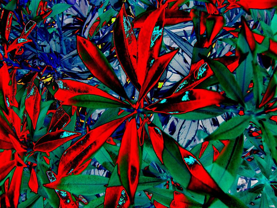 Flora Digital Art - Flora Afire by Tim Allen