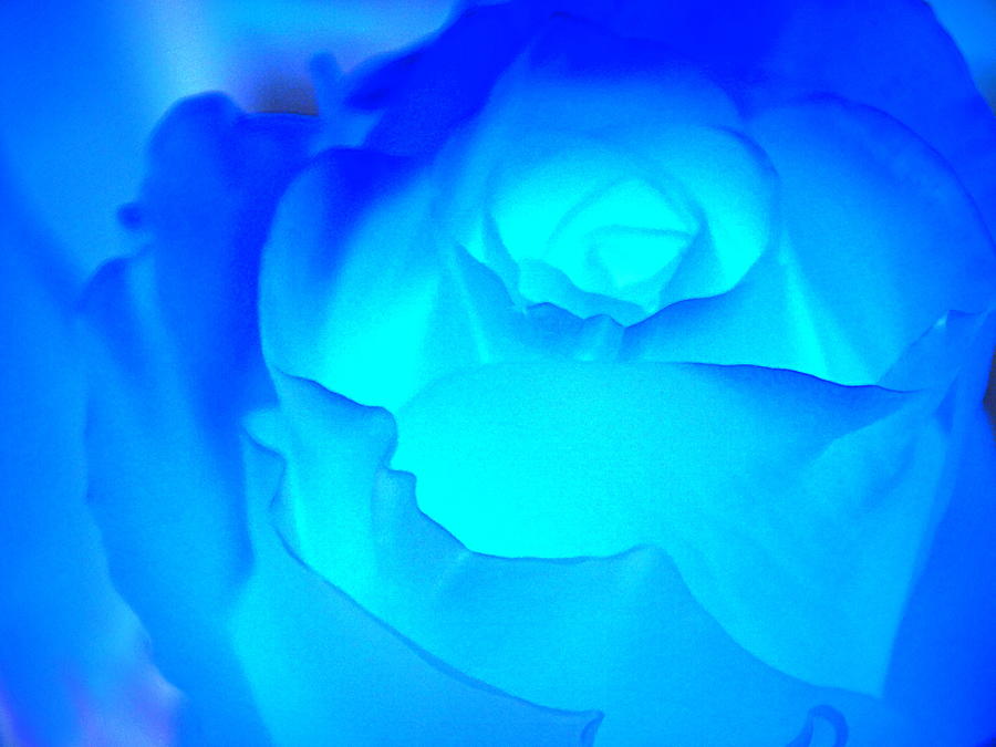 Floral Abstract - Blue Rose Photograph by Arlane Crump - Pixels