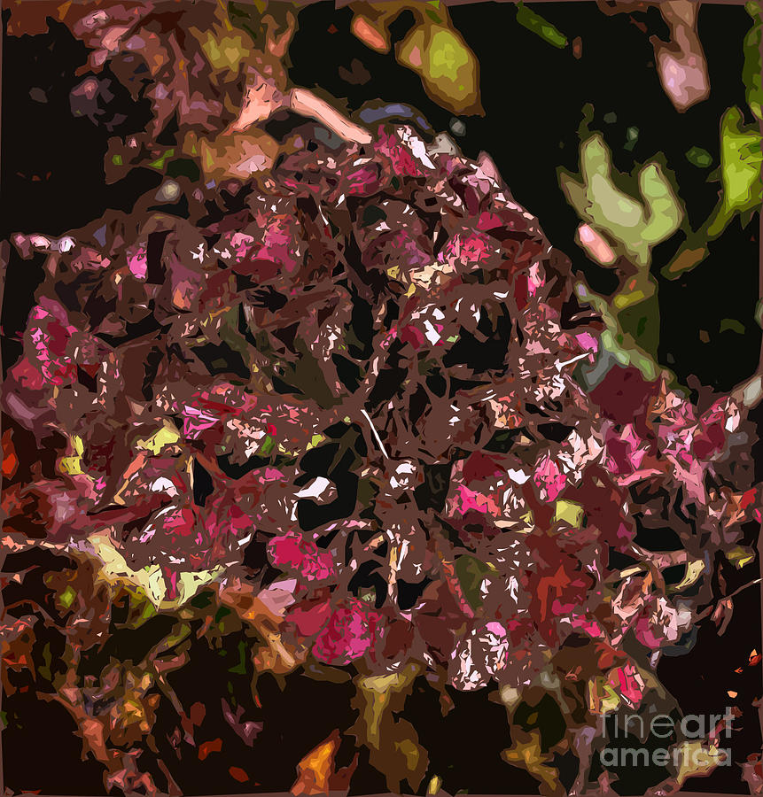 Floral Abstract Photograph by Colleen Kammerer