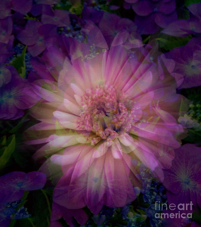 Floral Abstract Design 2 Photograph by Joan-Violet Stretch