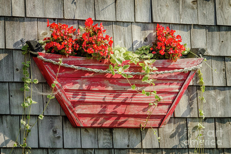 Floral basket on the wood wall Photograph by Claudia M Photography