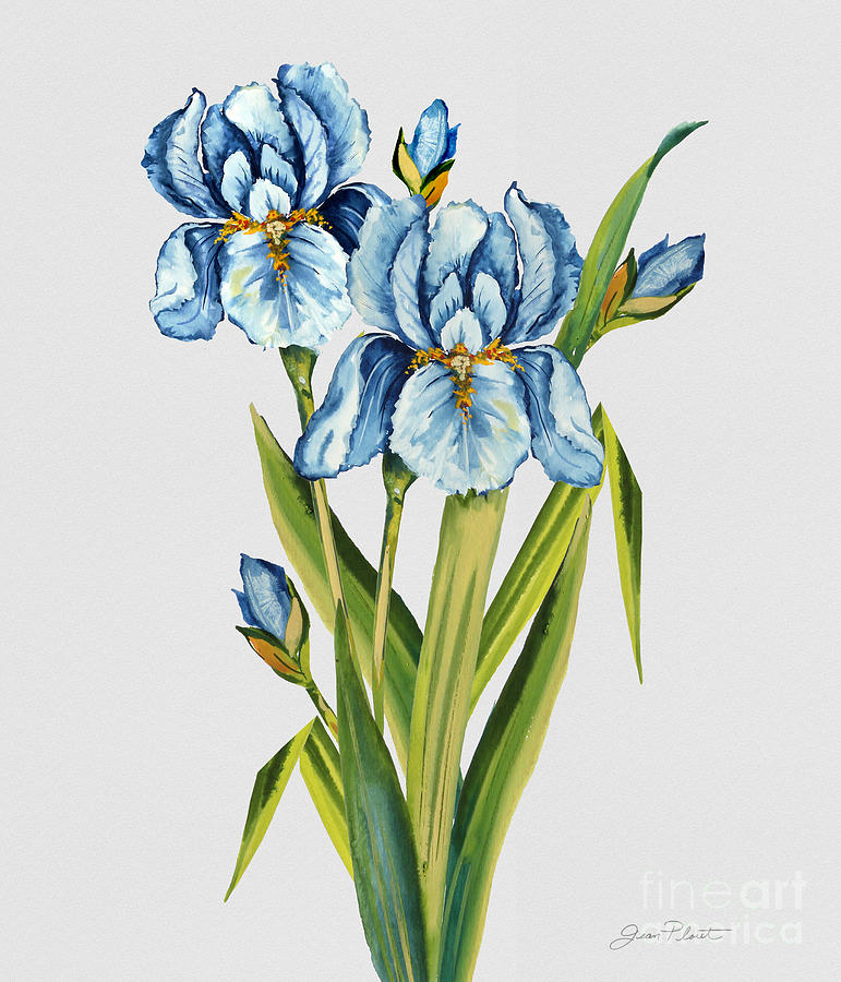 Floral Botanicals-JP3784 Painting by Jean Plout