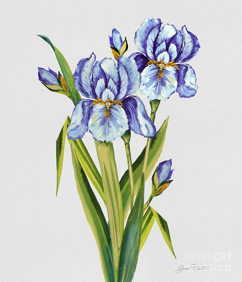 Floral Botanicals-JP3786 Painting by Jean Plout
