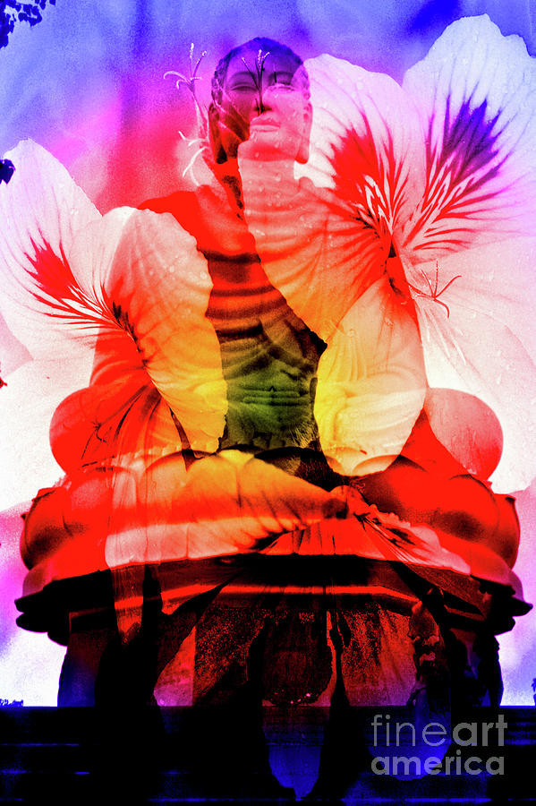 Coral Floral Buddha Sound Digital Art by Silva Wischeropp