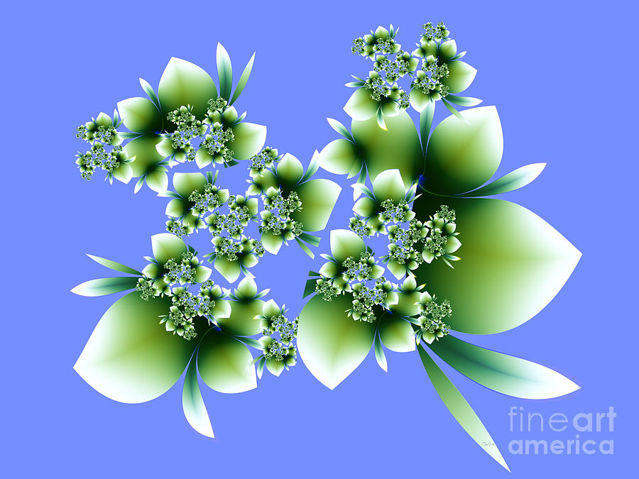 Floral Composition Digital Art
