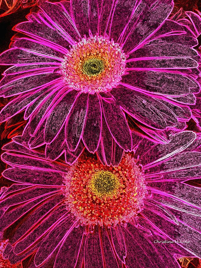 Floral Contrast 6 Photograph by Christine McCole