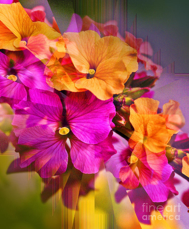 Floral Abstract Photograph - Floral Ecstasy by Warren Kasow