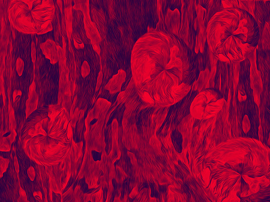 Floral Effusion in Red and Black Digital Art by Lynda Lehmann